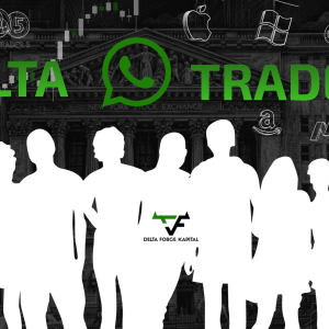DELTA TRADERS GROUP