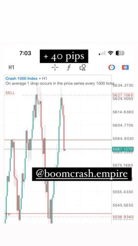 photo 2024-06-14 18-53-28