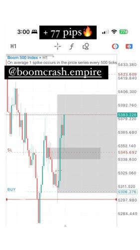 photo 2024-06-17 09-05-03