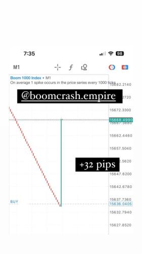 photo 2024-06-18 11-03-45