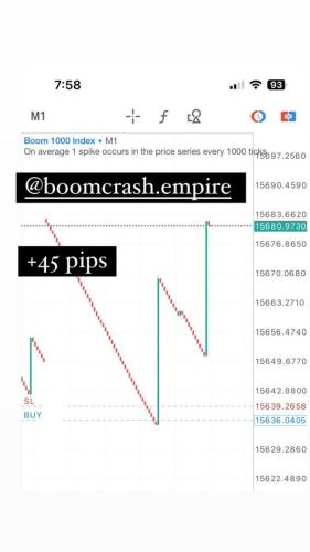 photo 2024-06-18 11-03-49