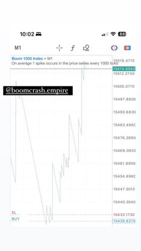 photo 2024-08-26 07-14-34