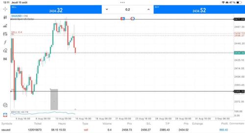 photo 2024-08-26 07-15-02